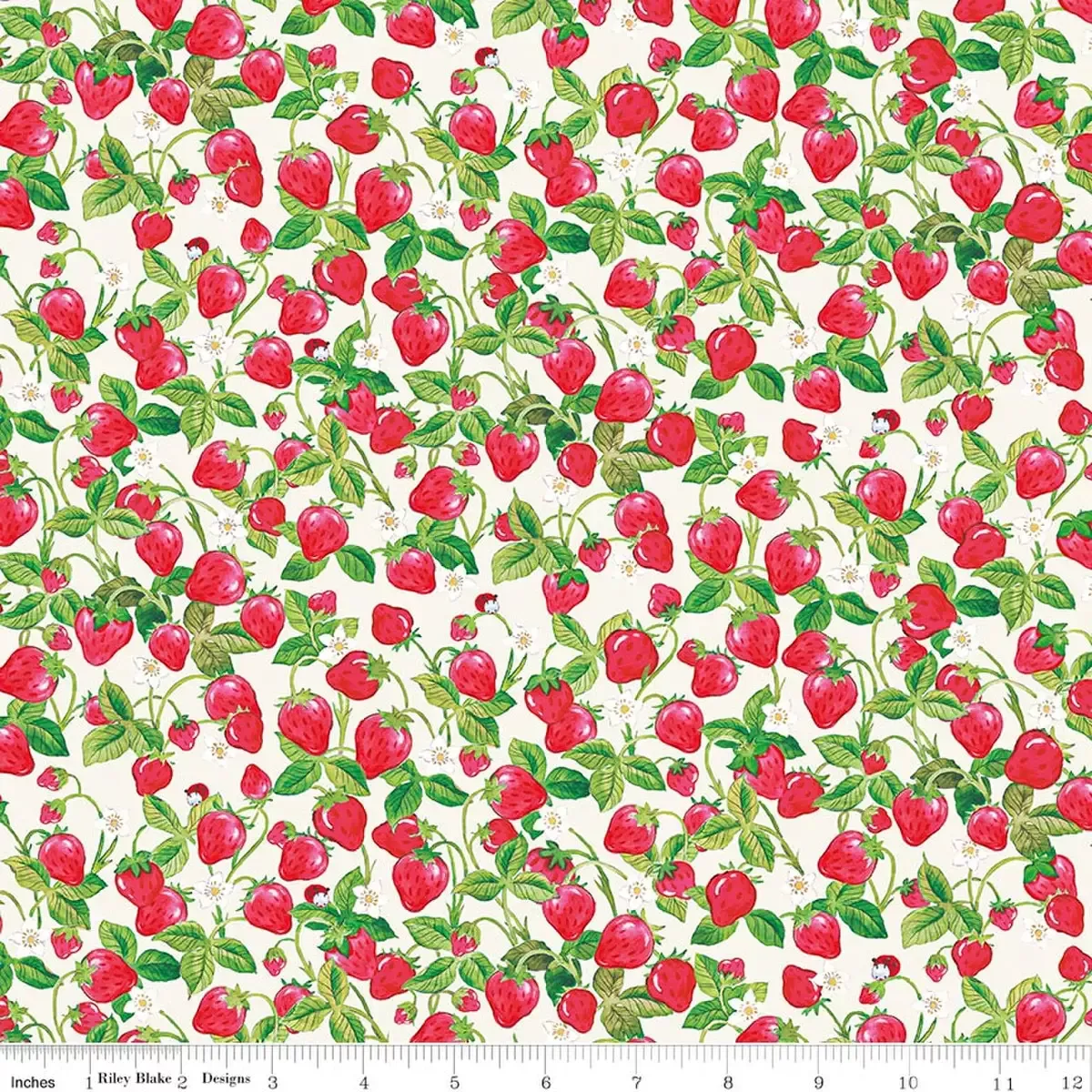 Cotton Fabric, 43″/44″ Wide The World of Strawberry Shortcake™ in Strawberries Cream by Riley Blake Designs