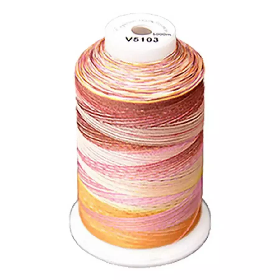 Exquisite Medley Variegated Thread - 103 Flamingo 5000M Spool