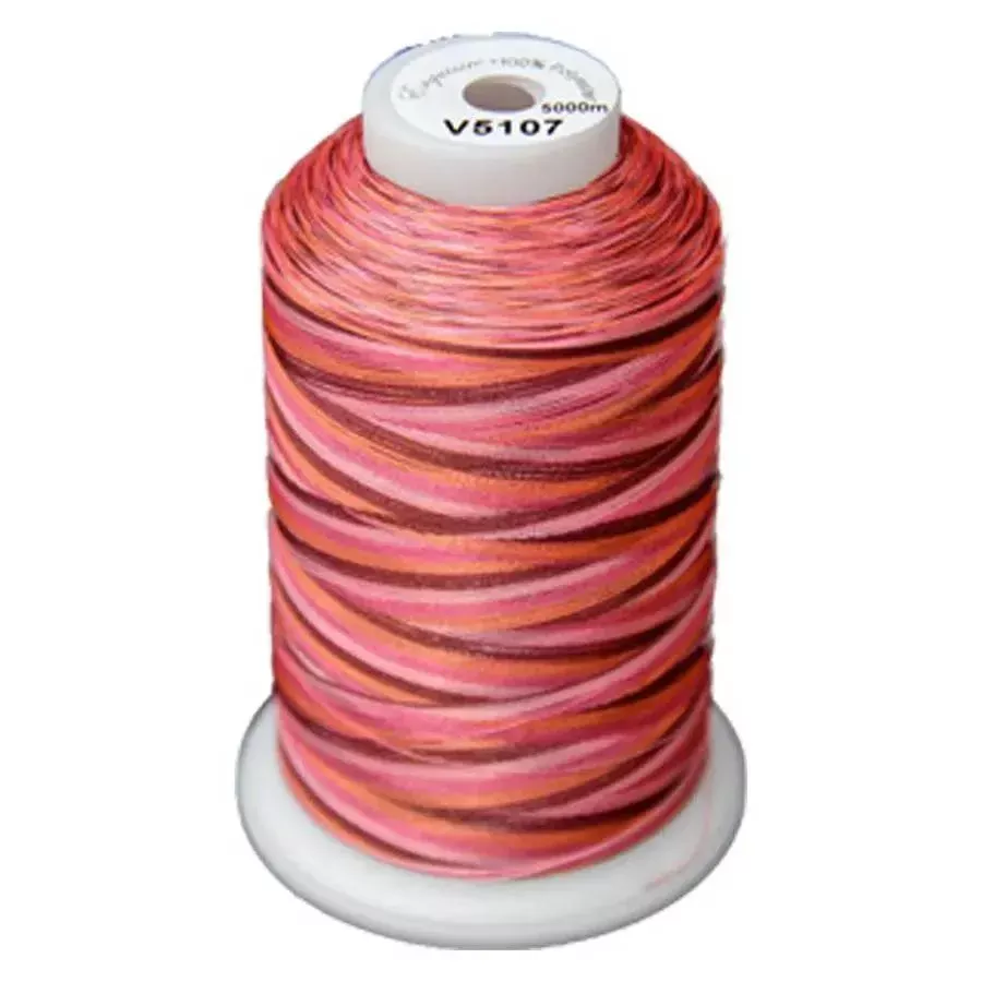 Exquisite Medley Variegated Thread - 107 Summer Berries 5000M Spool