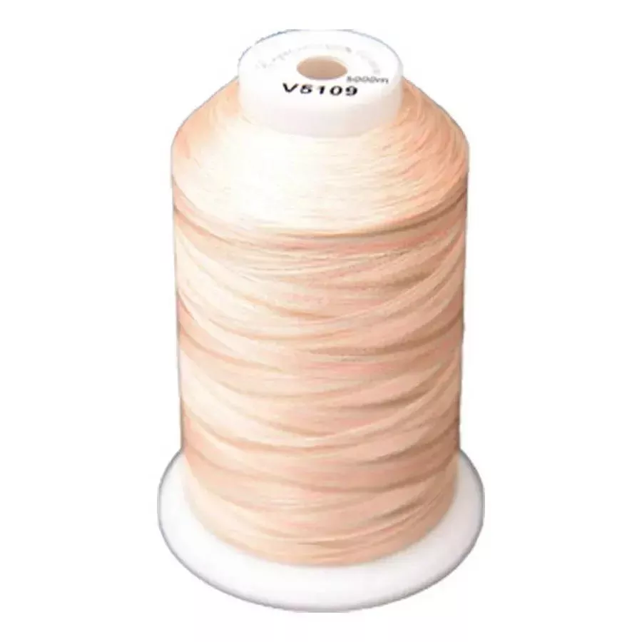 Exquisite Medley Variegated Thread - 109 Desert Canyon 5000M Spool