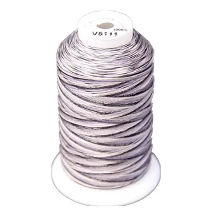Exquisite Medley Variegated Thread - 111 Zebra 5000M Spool