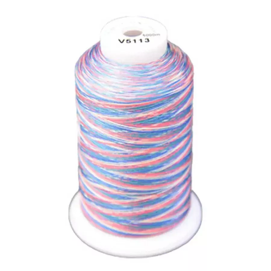 Exquisite Medley Variegated Thread - 113 Carnival 5000M Spool