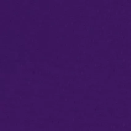 Polyester Fabric, 60″ Wide Poly Chiffon in Plum by EESCO