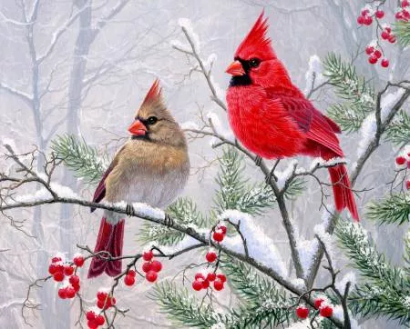 "Season's Greetings Cardinal" 36in Panel