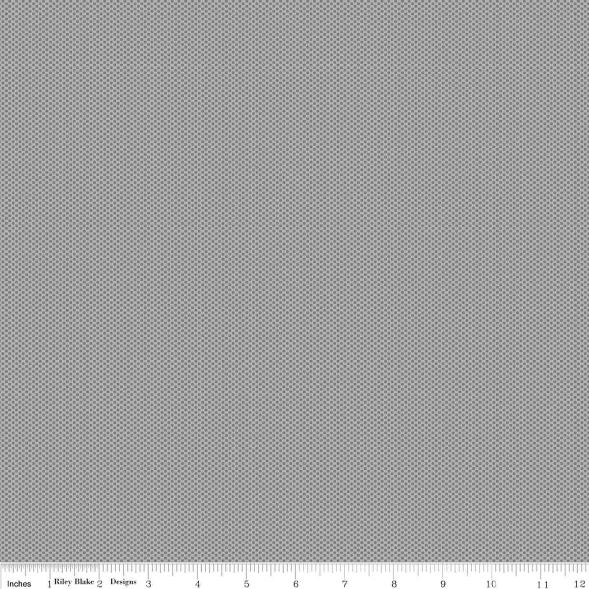 Woven Cotton Fabric, 43″/44″ Wide in POParazzi Gray by Riley Blake Designs