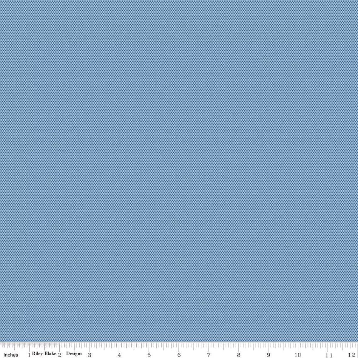 Woven Cotton Fabric, 43″/44″ Wide in POParazzi Washed Denim by Riley Blake Designs