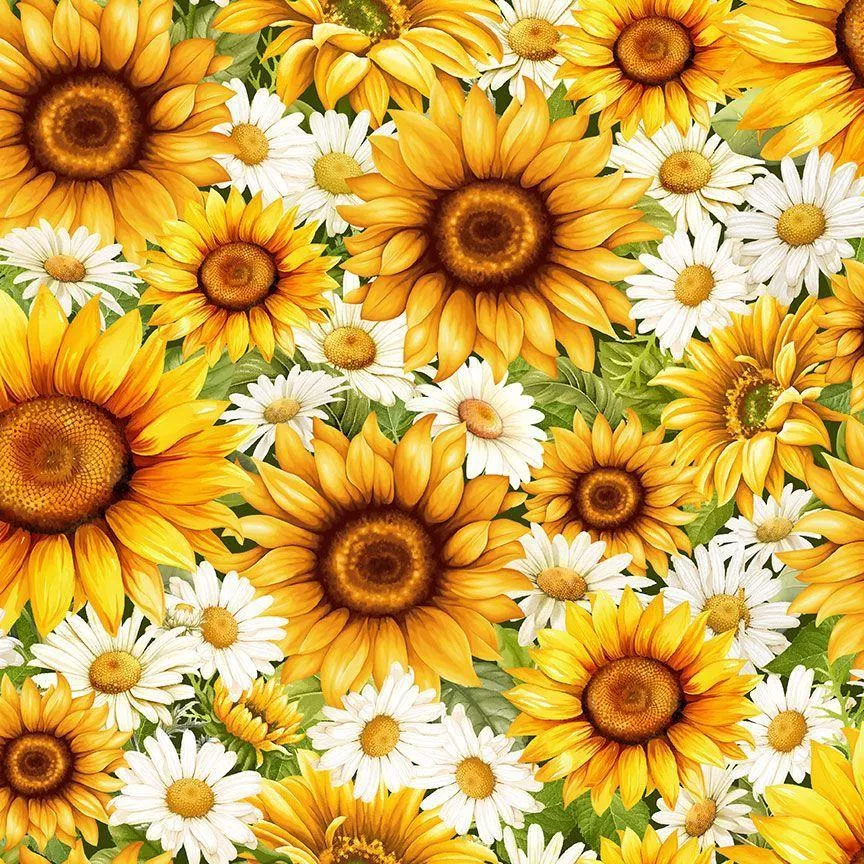 You Are My Sunshine - CD3883 -Packed Daisies & Sunflowers